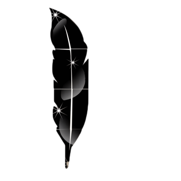 3d-Acrylic-Wall-Leaf-Mirror-Black)/designerdecors.pk